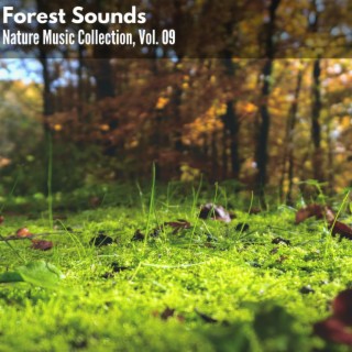 Forest Sounds - Nature Music Collection, Vol. 09