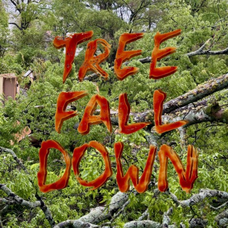 Tree Fall Down