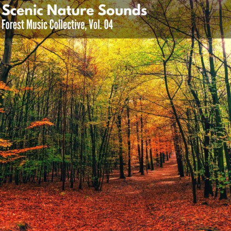 Pompous Deciduous Forest East Dawn Chorus Owl | Boomplay Music