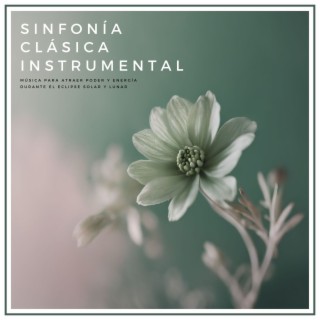 Sinfonía Clásica Instrumental - Música Clásica Moderna para Relax, Estudio y Meditación