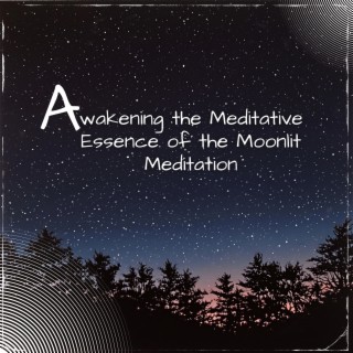 Awakening the Meditative Essence of the Moonlit Meditation