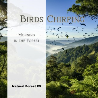 Birds Chirping: Morning in the Forest