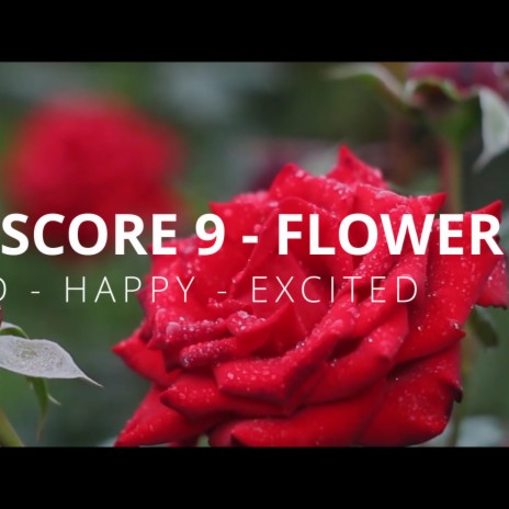 Flower B G Score