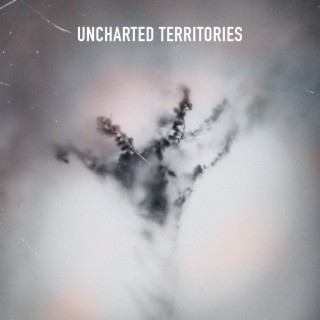 Uncharted Territories