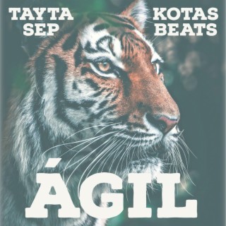 Ágil ft. Kotas Beats lyrics | Boomplay Music