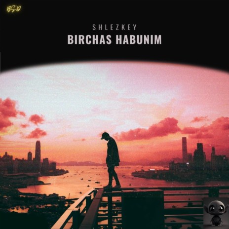 Birchas Habunim | Boomplay Music
