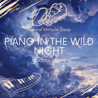 Peaceful 432 Hz Piano in the Wild Night