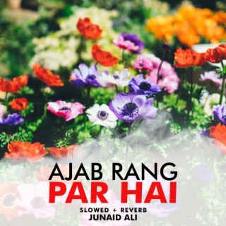 Ajab Rang Par Hai Lofi