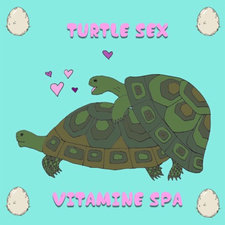 Turtle Sex | Boomplay Music