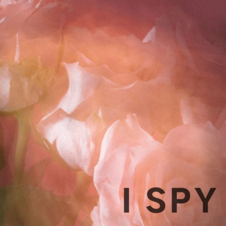 I spy | Boomplay Music