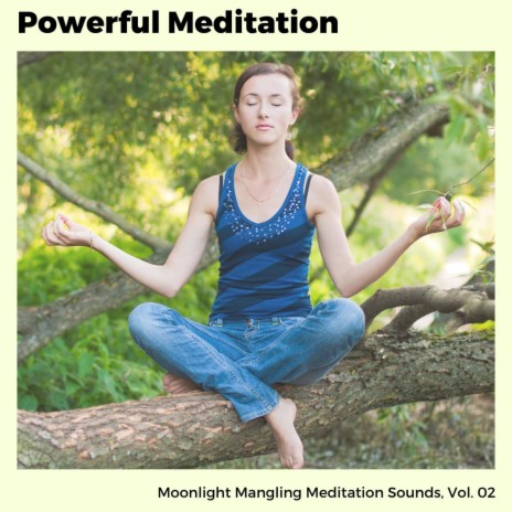 Pleasing Energy Meditation | Boomplay Music