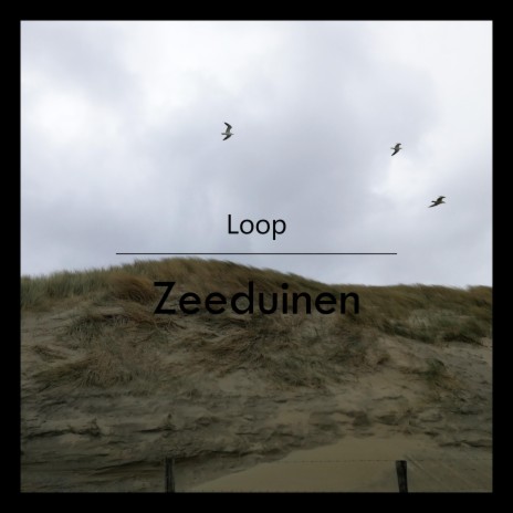 Zeeduinen | Boomplay Music