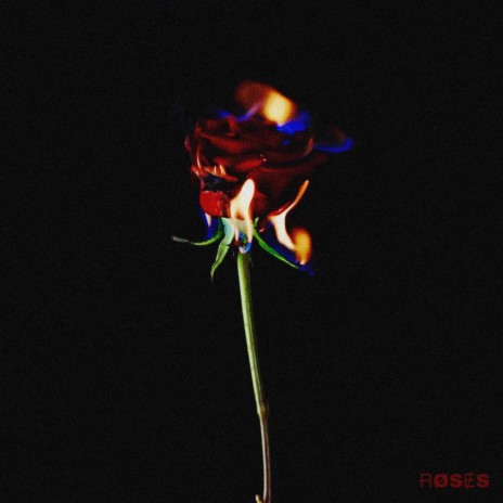 Roses (2020 Single Version) ft. Buster Sebb | Boomplay Music
