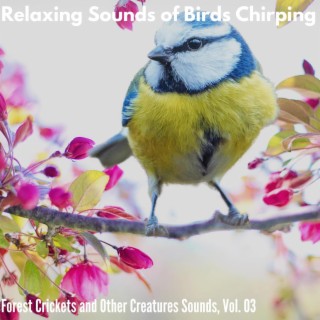 Relaxing Sounds of Birds Chirping - Forest Crickets and Other Creatures Sounds, Vol. 03