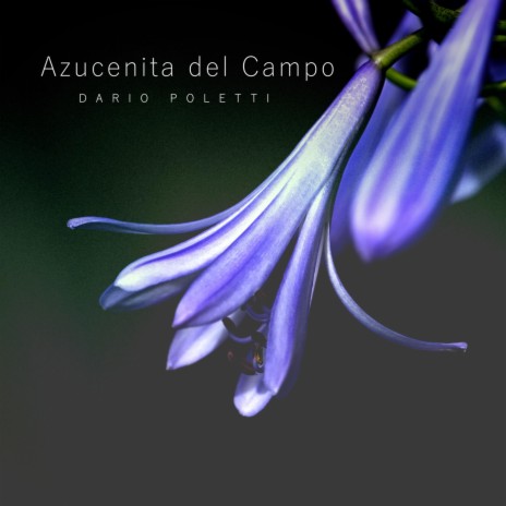 Azucenita del Campo ft. FLOR CURIA | Boomplay Music