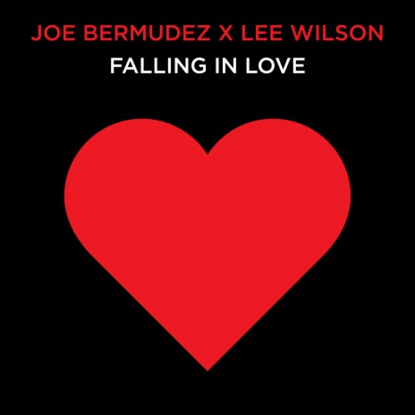 Falling In Love (Radio Edit) ft. Lee Wilson | Boomplay Music