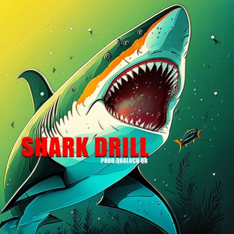 Shark Drill ft. Qbaloch Qb | Boomplay Music