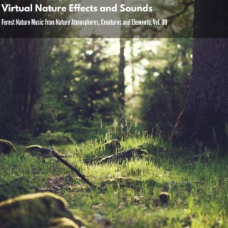 Virtual Nature Effects and Sounds - Forest Nature Music from Nature Atmospheres, Creatures and Elements, Vol. 09