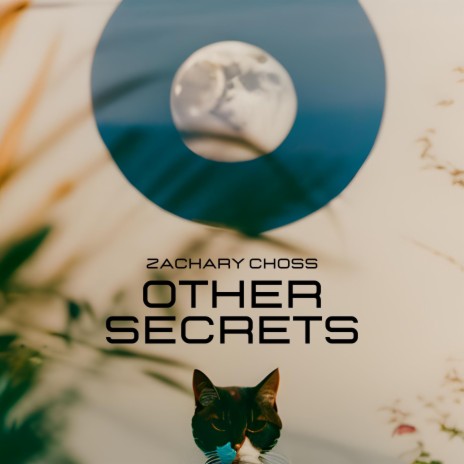 other secrets | Boomplay Music