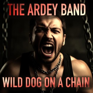 Wild Dog On A Chain