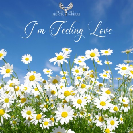 I'm Feeling Love (feat. Felicia Farerre) | Boomplay Music