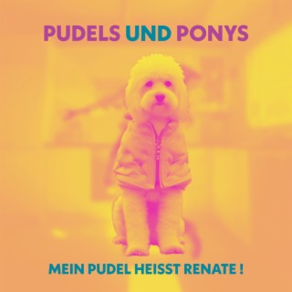 Pudels und Ponys