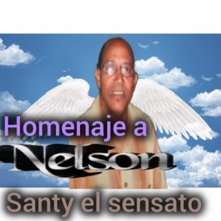 Homenaje a Nelson