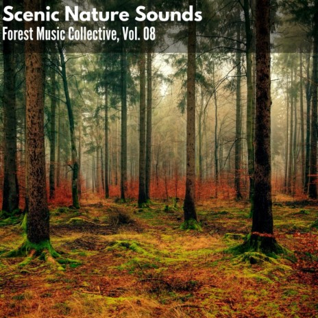 Misty Distant Waterfall Light | Boomplay Music