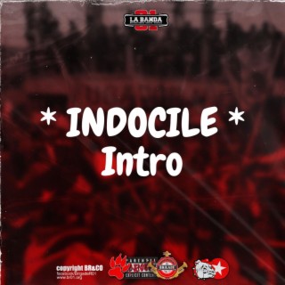 INDOCILE _ INTRO