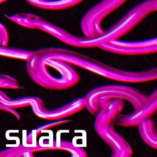 Suara