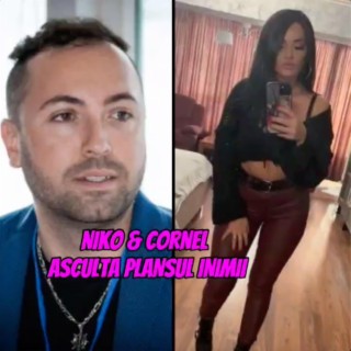 Niko Cornel Plansul Inimii