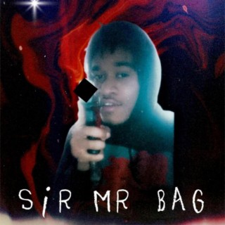 Sir Mr Bag