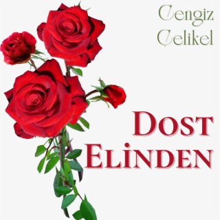 Dost Elinden