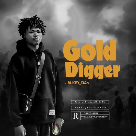 Gold Digger | Boomplay Music