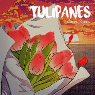 Tulipanes