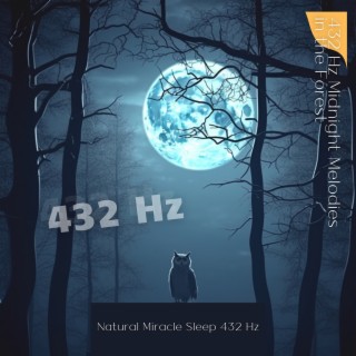 432 Hz Midnight Melodies in the Forest