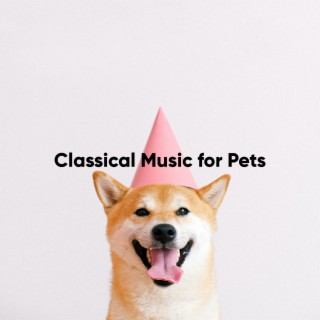 Music for Dogs: Classical Music to Calm Dog