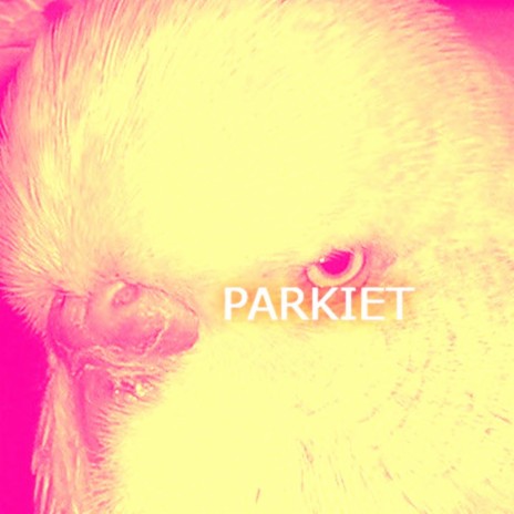 Parkiet | Boomplay Music