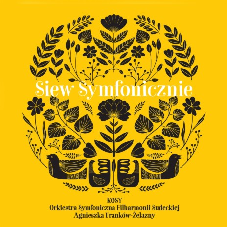 Ruta ft. Orkiestra Symfoniczna Filharmonii Sudeckiej | Boomplay Music