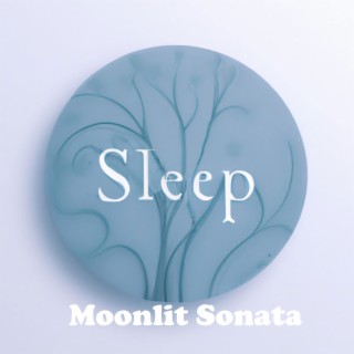 Moonlit Sonata