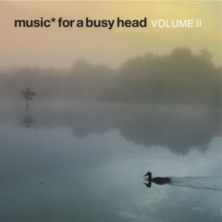 Music *For A Busy Head Volume II