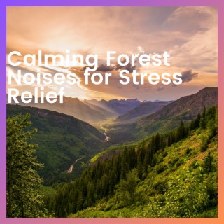 Calming Forest Noises for Stress Relief