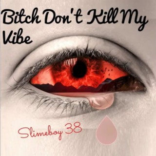 Bitch Don't Kill My Vibe lyrics | Boomplay Music