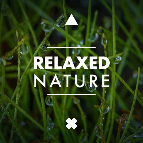 Soothing Sounds (Original Mix) | Boomplay Music