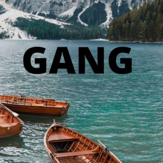 Gang