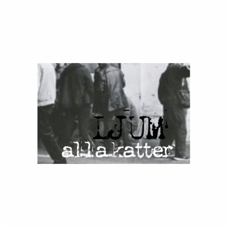 Alla katter (Ximer) | Boomplay Music