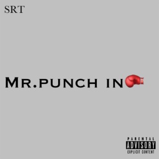 MR.PUNCH IN