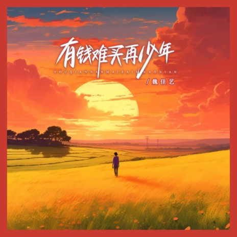 有钱难买再少年 | Boomplay Music