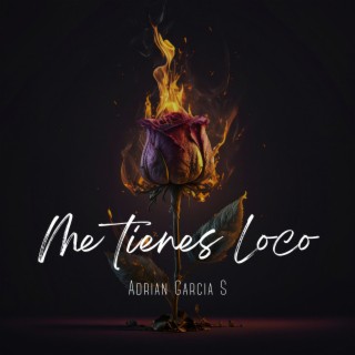 Me Tienes Loco lyrics | Boomplay Music