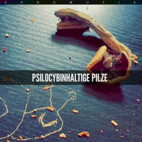 Psilocybinhaltige Pilze | Boomplay Music